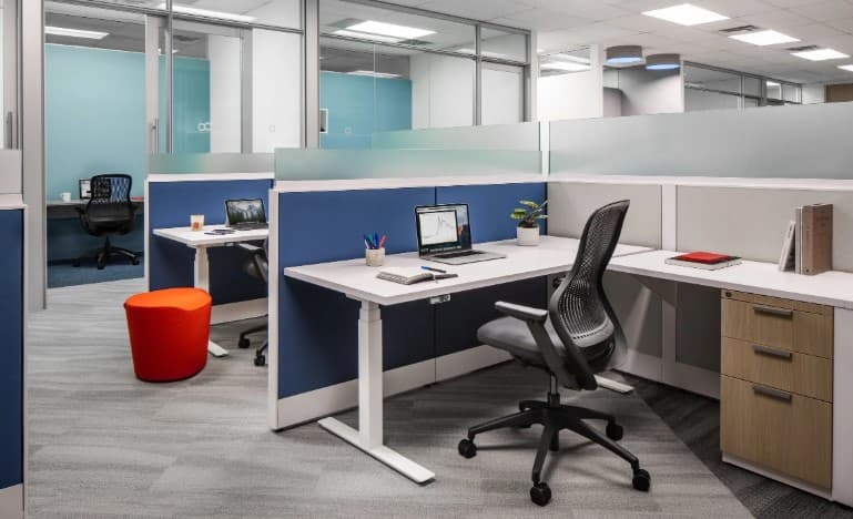 Office Space Interior Setup